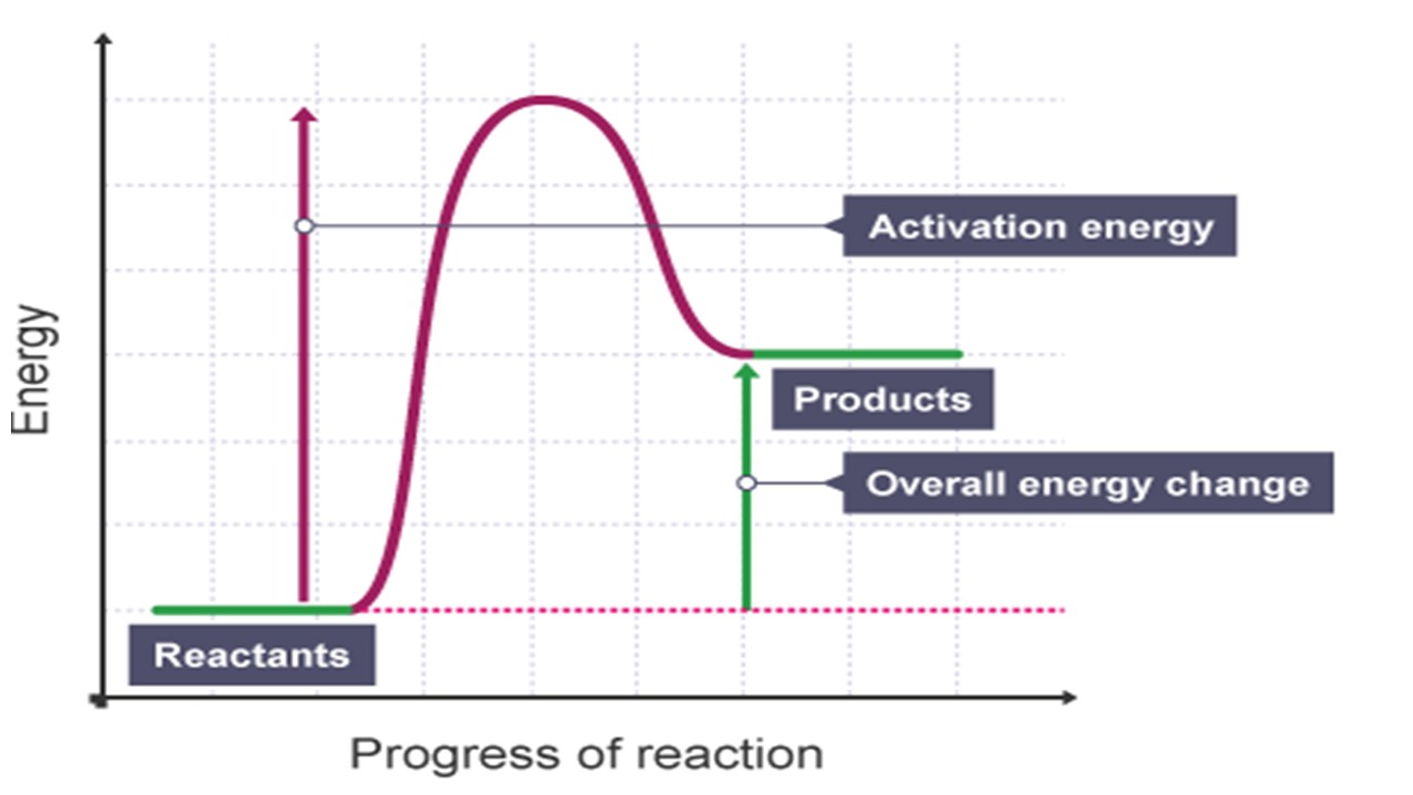 Energy Diagram For An Endothermic Reaction 3595